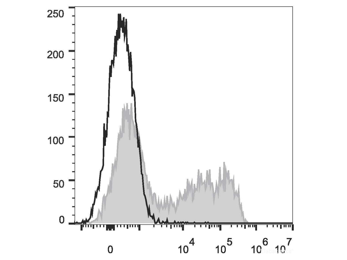 PE Anti-Mouse IL-6 Antibody[MP5-20F3], Biomarkers, Elabscience Biotechnology, MSE Supplies