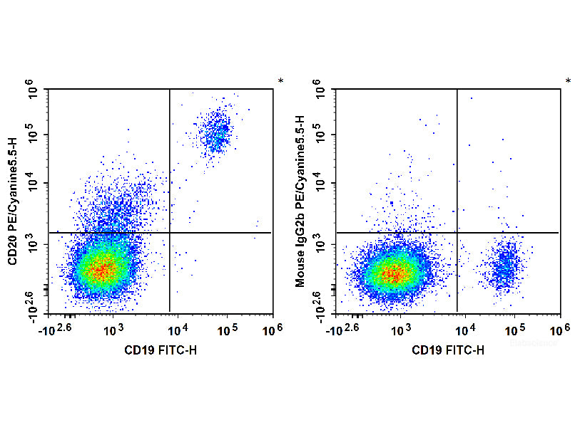PE/Cyanine5.5 Anti-Human CD20 Antibody[2H7], Biomarkers, Elabscience Biotechnology, MSE Supplies