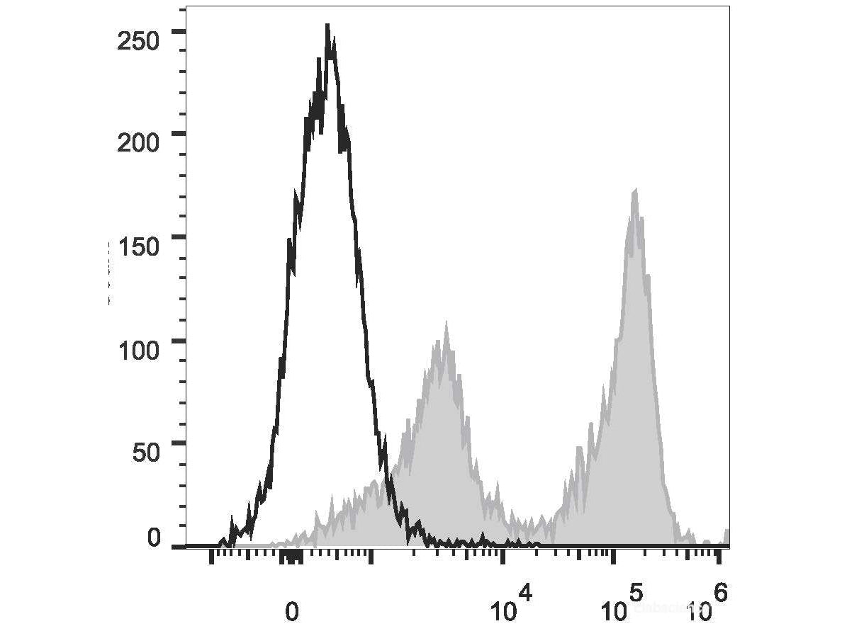 PE/Cyanine5.5 Anti-Mouse Ly-6G/Ly-6C (Gr-1) Antibody[RB6-8C5], Biomarkers, Elabscience Biotechnology, MSE Supplies