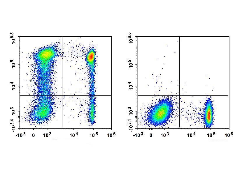 PerCP/Cyanine5.5 Anti-Human CD62L Antibody[HI62L], Biomarkers, Elabscience Biotechnology, MSE Supplies