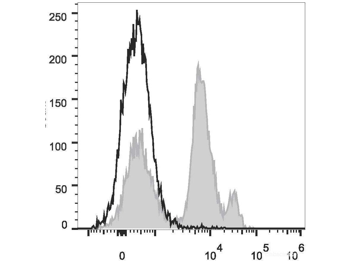 PE/Cyanine5 Anti-Mouse Ly6C Antibody[Monts 1], Biomarkers, Elabscience Biotechnology, MSE Supplies