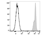PE/Cyanine7 Anti-Human CD45 Antibody[HI30], Biomarkers, Elabscience Biotechnology, MSE Supplies