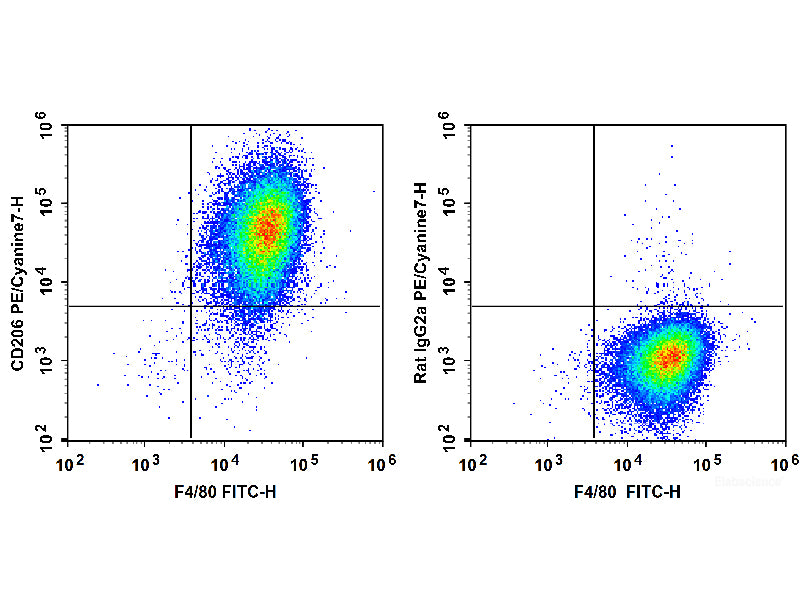 PE/Cyanine7 Anti-Mouse CD206/MMR Antibody[C068C2], Biomarkers, Elabscience Biotechnology, MSE Supplies