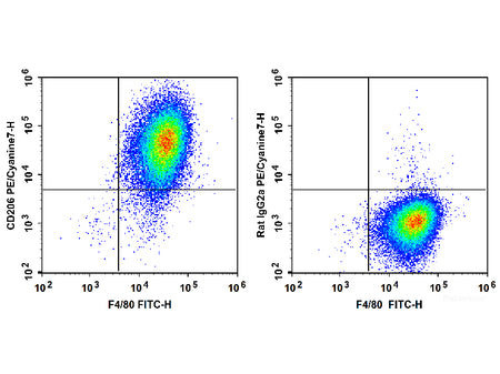 PE/Cyanine7 Anti-Mouse CD206/MMR Antibody[C068C2], Biomarkers, Elabscience Biotechnology, MSE Supplies