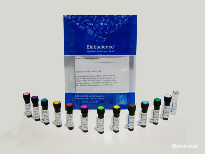 PE/Cyanine7 Anti-Mouse CD45 Antibody[30-F11], Biomarkers, Elabscience Biotechnology, MSE Supplies