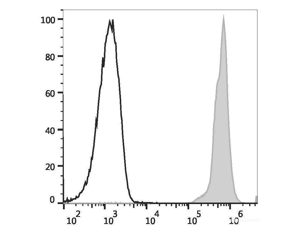 PE/Elab Fluor® 594 Anti-Mouse CD45 Antibody[30-F11], Biomarkers, Elabscience Biotechnology, MSE Supplies