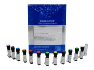 PE/Elab Fluor® 594 Rat IgG2a, λ Isotype Control[G013C12], Biomarkers, Elabscience Biotechnology, MSE Supplies