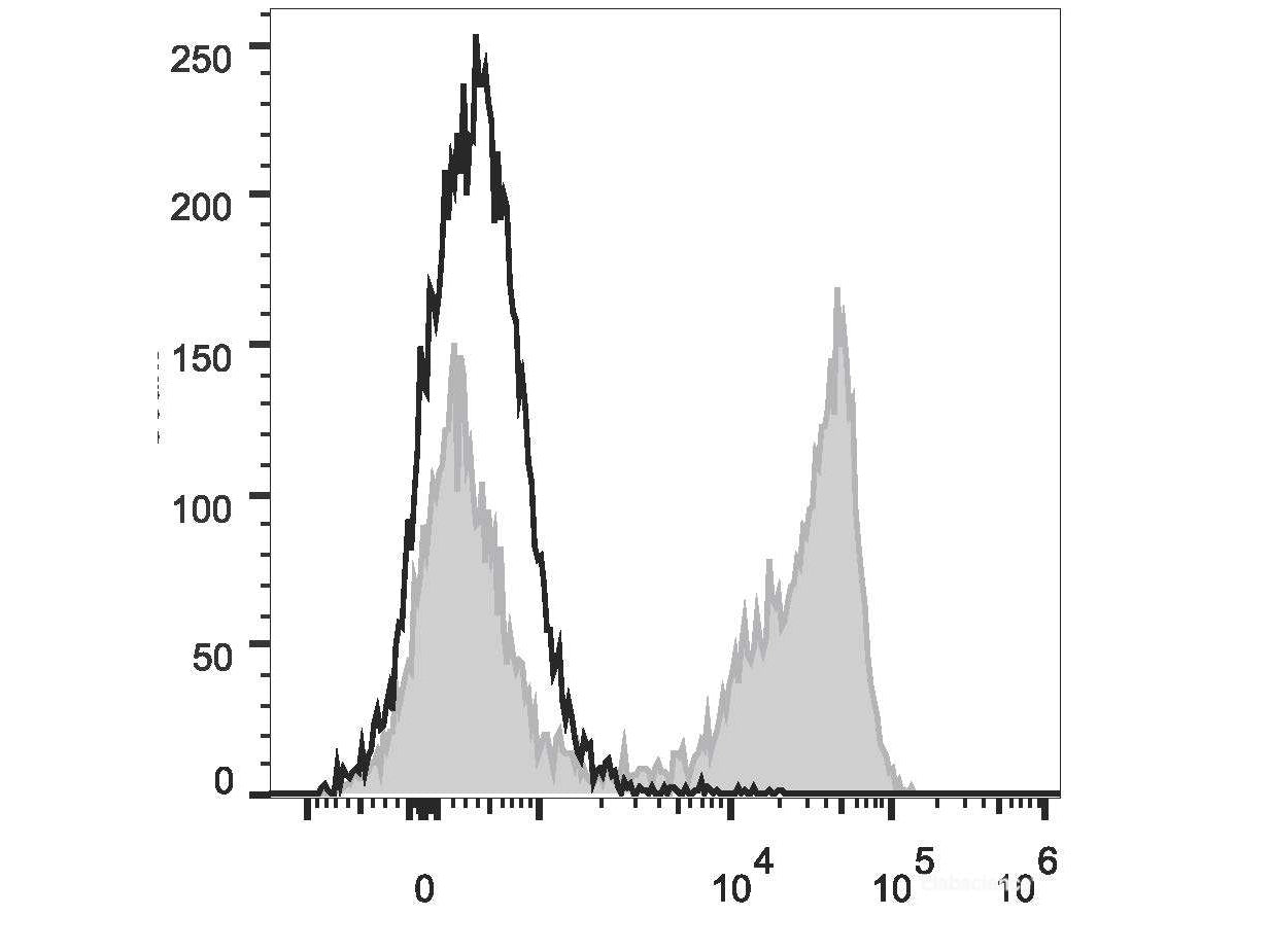 PerCP Anti-Mouse Ly-6G/Ly-6C (Gr-1) Antibody[RB6-8C5], Biomarkers, Elabscience Biotechnology, MSE Supplies