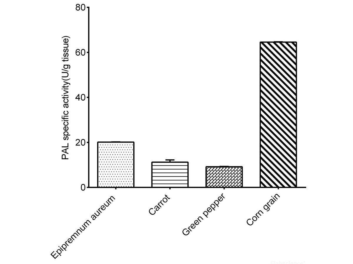 Phenylalanine Ammonia Lyase (PAL) Activity Assay Kit, Cell Assays, Elabscience Biotechnology, MSE Supplies