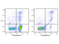 PI Reagent (50μg/mL), Cell Assays, Elabscience Biotechnology, MSE Supplies