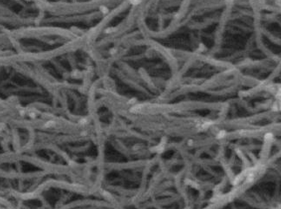 MSE PRO High Purity >95 wt% Hydroxylate Multi-walled Carbon Nanotube, Nano Materials, MSE Supplies LLC, MSE Supplies