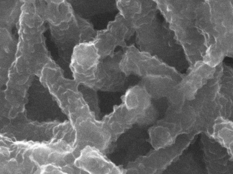 MSE PRO Polyaniline Sorbent, 500g/bottle, Chemicals and Compounds, MSE Supplies LLC, MSE Supplies