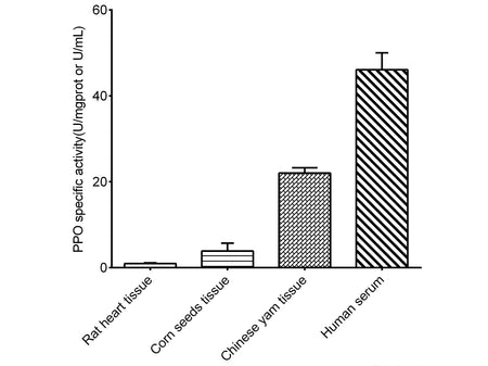 Polyphenol Oxidase (PPO) Activity Assay Kit, Cell Assays, Elabscience Biotechnology, MSE Supplies