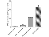 Polyphenol Oxidase (PPO) Activity Assay Kit, Cell Assays, Elabscience Biotechnology, MSE Supplies