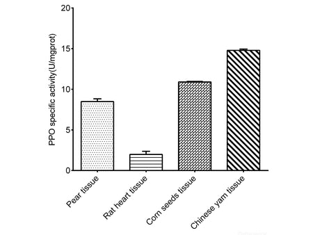 Polyphenol Oxidase (PPO) Activity Assay Kit, Cell Assays, Elabscience Biotechnology, MSE Supplies