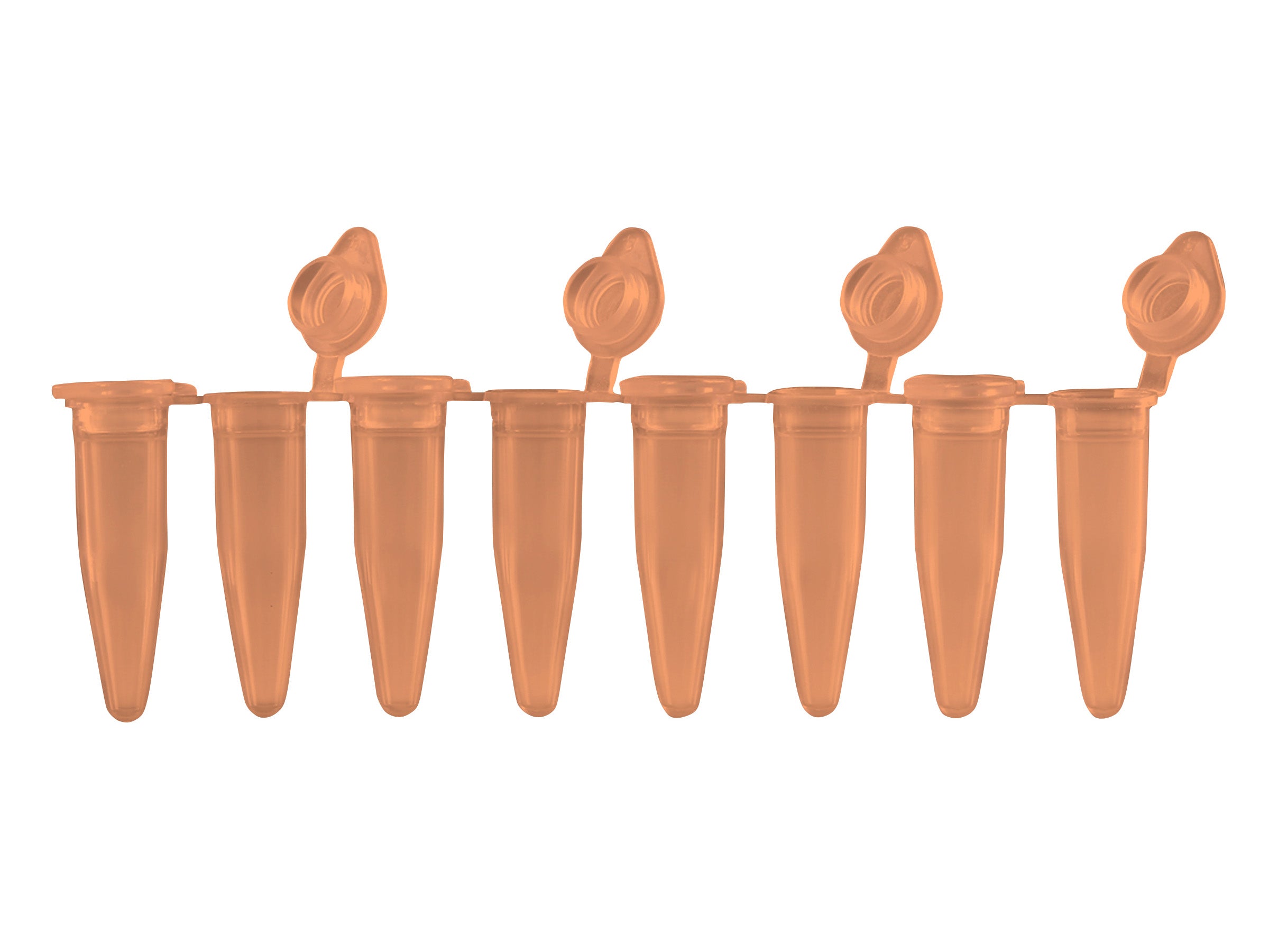 Pure•Amp™ PCR Tubes, Strips & Caps, PCR Products, MTC Bio, MSE Supplies