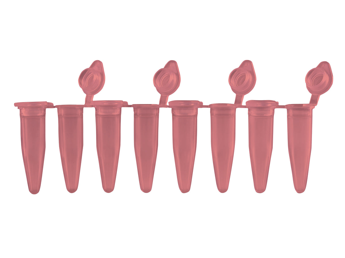 Pure•Amp™ PCR Tubes, Strips & Caps, PCR Products, MTC Bio, MSE Supplies