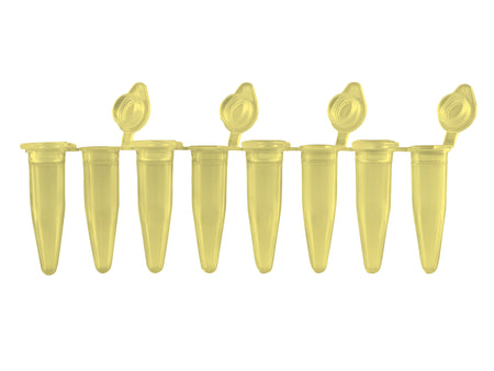 Pure•Amp™ PCR Tubes, Strips & Caps, PCR Products, MTC Bio, MSE Supplies