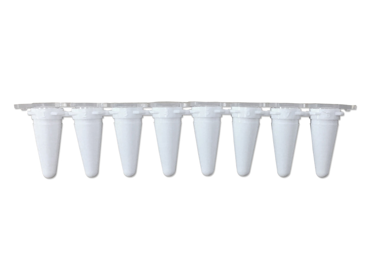 Pure•Amp™ PCR Tubes, Strips & Caps, PCR Products, MTC Bio, MSE Supplies