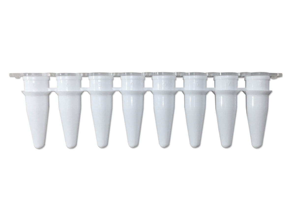 Pure•Amp™ PCR Tubes, Strips & Caps, PCR Products, MTC Bio, MSE Supplies