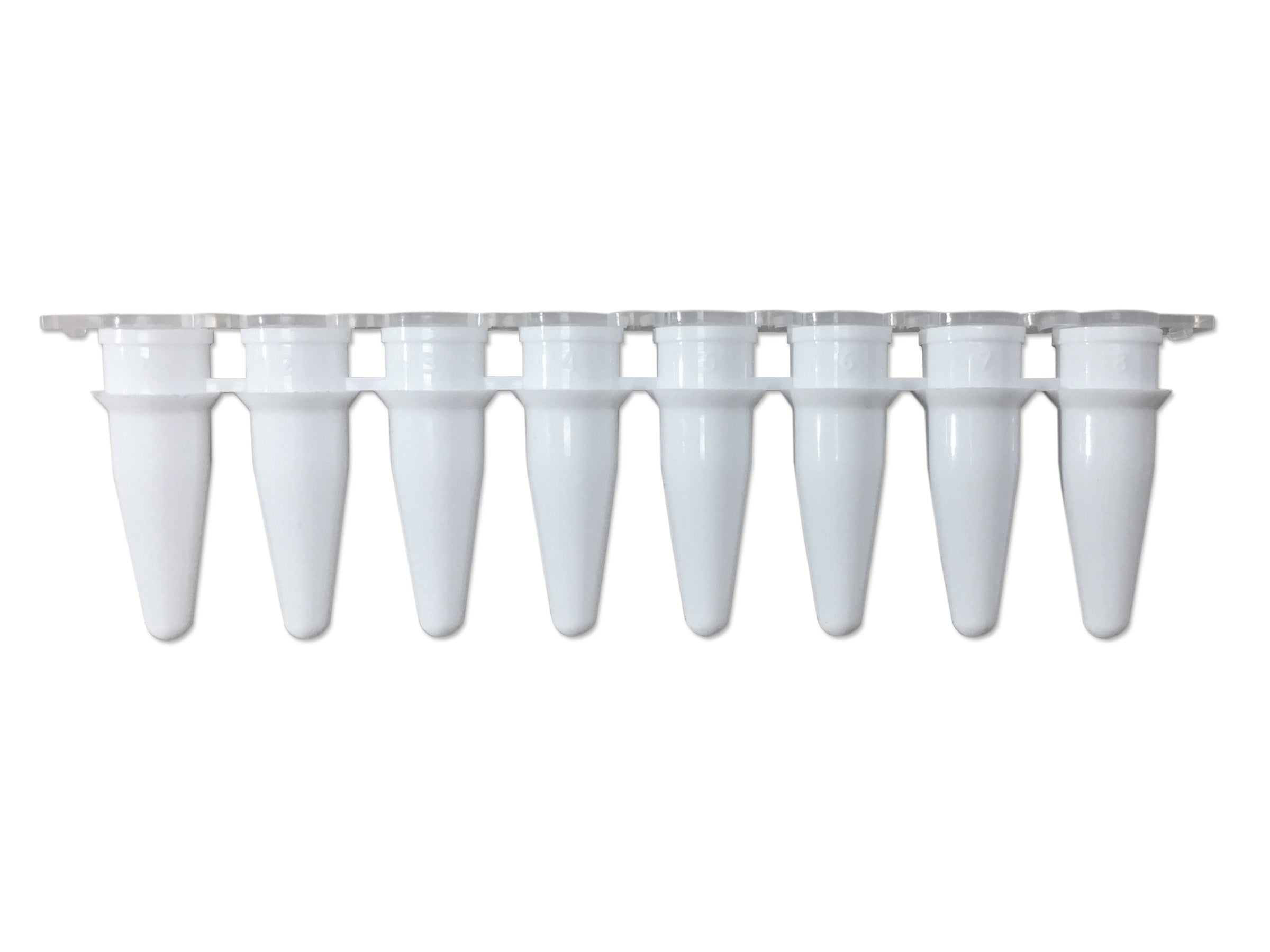 Pure•Amp™ PCR Tubes, Strips & Caps, PCR Products, MTC Bio, MSE Supplies