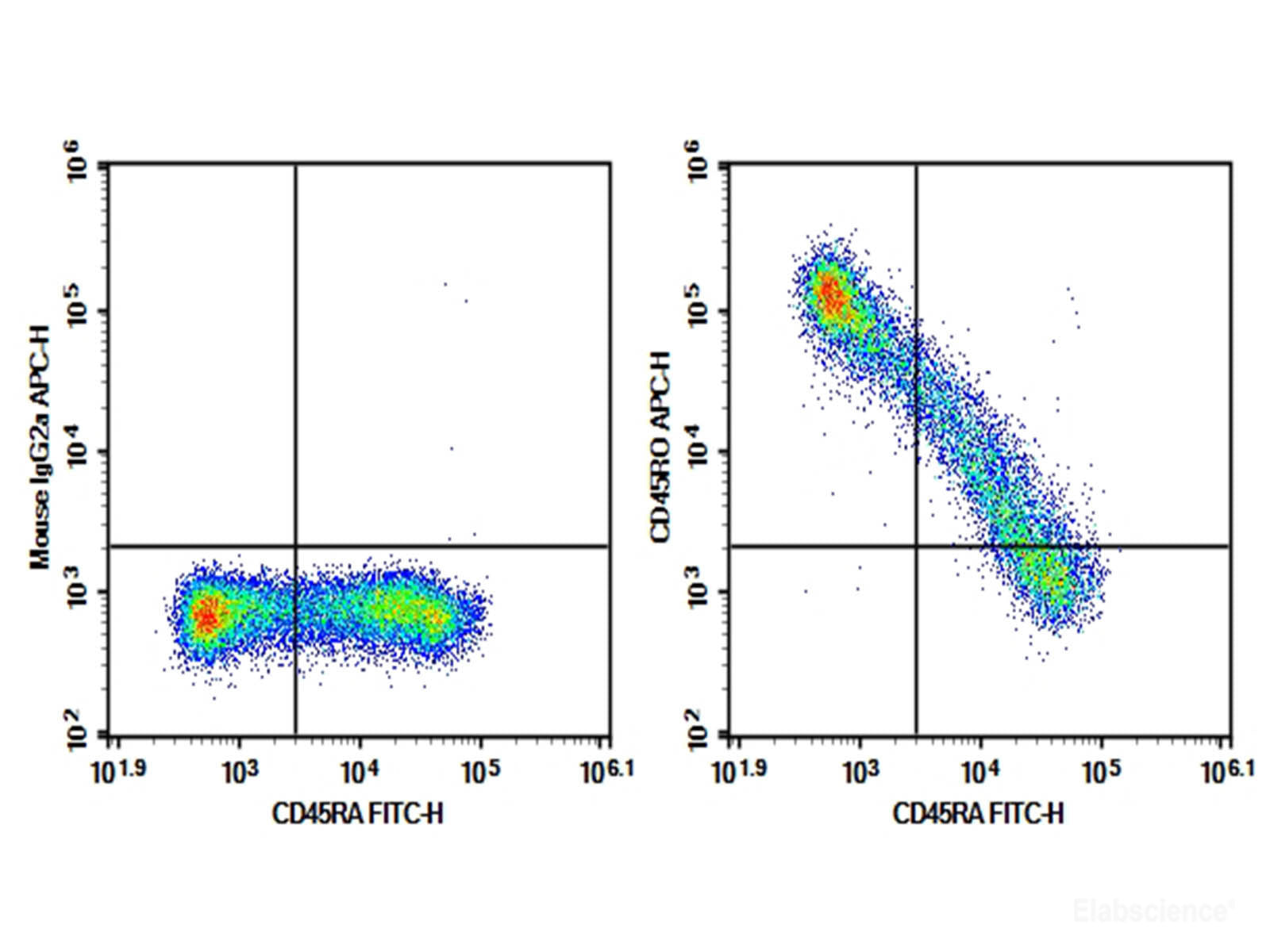 Purified Anti-Human CD45RO Antibody[UCHL1], Biomarkers, Elabscience Biotechnology, MSE Supplies