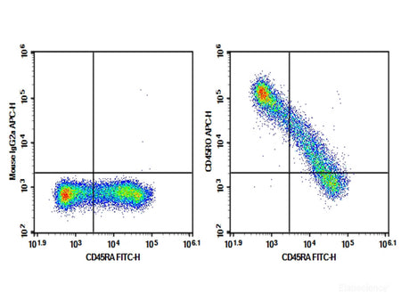 Purified Anti-Human CD45RO Antibody[UCHL1], Biomarkers, Elabscience Biotechnology, MSE Supplies