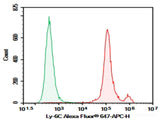 Purified Anti-Mouse Ly6C Antibody[Monts 1], Biomarkers, Elabscience Biotechnology, MSE Supplies