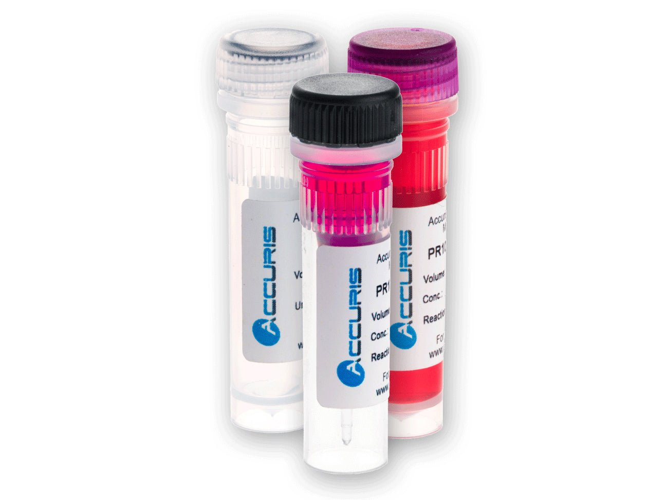 Accuris qMAX Probe qPCR Mix - MSE Supplies LLC