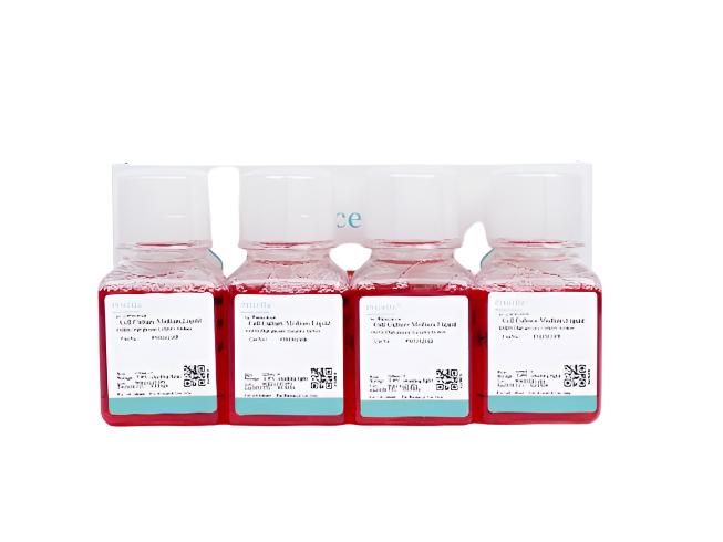 Rabbit Nucleus Pulposus Cells Complete Medium
