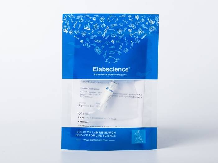 Recombinant 2019-nCoV 3C-like Proteinase Protein (His Tag)