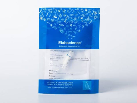 Recombinant 2019-nCoV NSP8 Protein (His Tag)