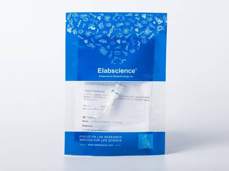 Recombinant 2019-nCoV S2 Protein (Fc Tag)