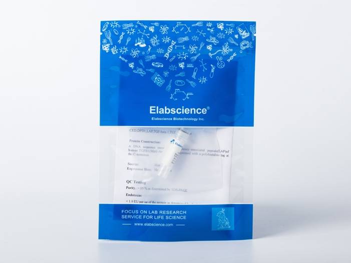 Recombinant AcmNPV Envelope glycoprotein gp64(His Tag)