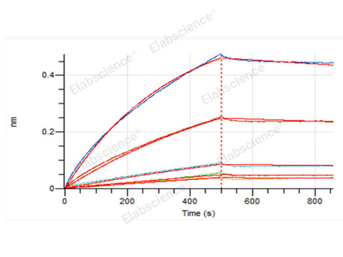 Recombinant Cynomolgus FGL1 (C-6His)