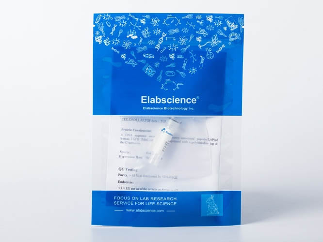 Recombinant HIV-1 p24 Protein (group M, subtype B, strain 92418) (His Tag)