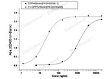 Recombinant MERS-CoV Spike/S1 Protein (S1 Subunit, aa 1-725, His Tag)