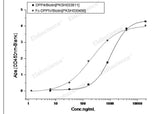 Recombinant MERS-CoV Spike/S1 Protein (S1 Subunit, aa 1-725, His Tag)