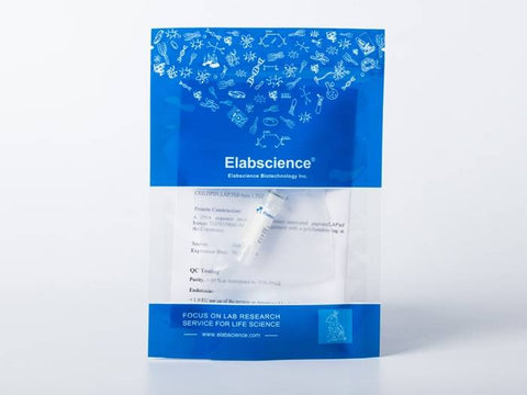 Recombinant Rat CD73/NT5E Protein (His Tag)