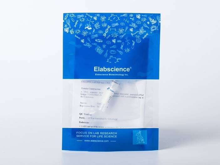 Recombinant Rat IL-1 beta/IL1B Protein (mature form)(Active)