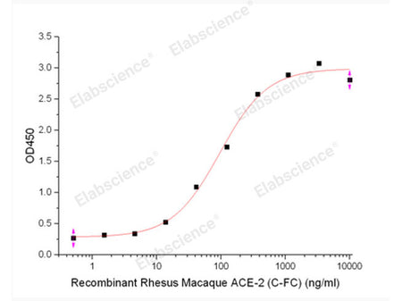 Recombinant Rhesus Macaque Angiotensin-Converting Enzyme 2/ACE-2 (C-Fc)