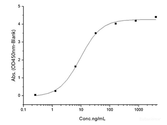 Recombinant SARS-CoV-2 Spike RBD (L452R, E484Q) (His Tag) - MSE Supplies LLC