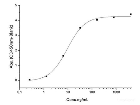 Recombinant SARS-CoV-2 Spike RBD (L452R, E484Q) (His Tag) - MSE Supplies LLC