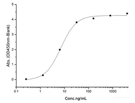 Recombinant SARS-CoV-2 Spike S1(K417N, E484K, N501Y, D614G)(His Tag) - MSE Supplies LLC