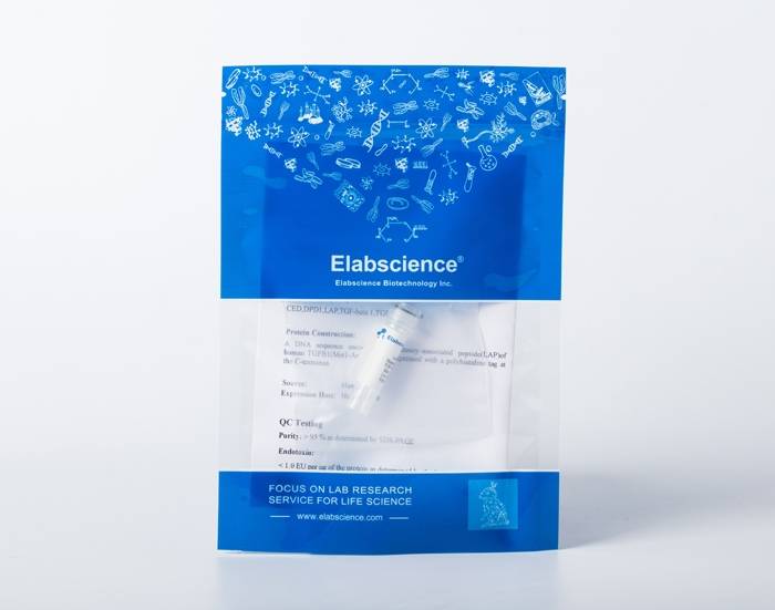 Recombinant Swine CXCL13 protein(N-His)