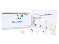 Reduced Glutathione (GSH) Colorimetric Assay Kit, Cell Assays, Elabscience Biotechnology, MSE Supplies