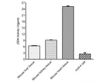 Succinate Dehydrogenase (SDH) Activity Assay Kit, Cell Assays, Elabscience Biotechnology, MSE Supplies