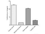 Total Antioxidant Capacity (T-AOC) Colorimetric Assay Kit, Cell Assays, Elabscience Biotechnology, MSE Supplies