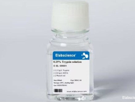 0.25% Trypsin Solution, 100mL, Cell Assays, Elabscience Biotechnology, MSE Supplies