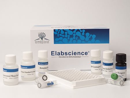 FA/VB9(Folic Acid/Vitamin B9) ELISA Kit, Cell Assays, Elabscience Biotechnology, MSE Supplies